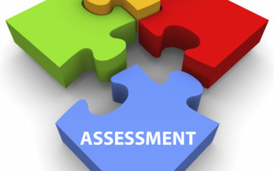 Update on Summer 2020 Assessments