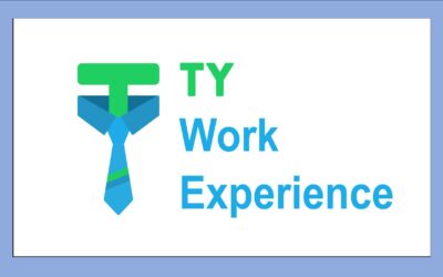 Transition Year – Work Experience 2021