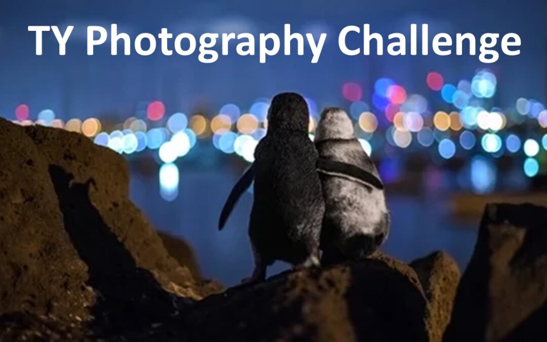Transition Year Photography Challenge