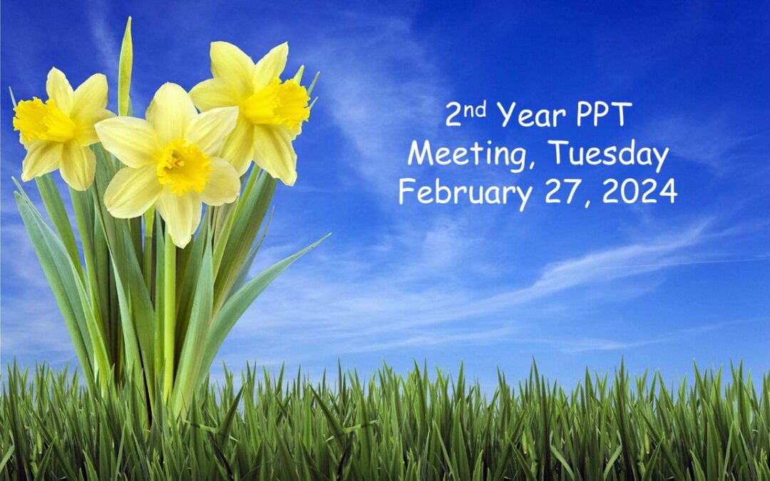 GCC 2nd Year PPT Meeting Tuesday 27 February 2024