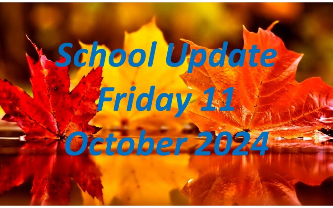 GCC Parents Update 7 Friday 11 October 2024